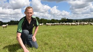 Depuis dix ans, Patrick Van Iersel implante des prairies multi-espèces, résilientes, productives et durables. Celle-ci, riche en trèfles, ray-grass et dactyle, est dans sa quatrième année.
