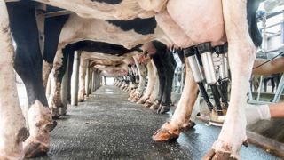 De plus en plus de producteurs préfèrent aujourd'hui produire autant, voire moins, que plus. De plus en plus de producteurs préfèrent aujourd'hui produire autant, voire moins, que plus.