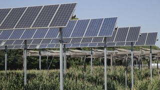 La publication de l'arrêté sur les contrôles et sanctions des installations agrivoltaïques été initialement prévue au début de juin, selon le cabinet de la ministre déléguée Agnès Pannier-Runacher. La publication de l'arrêté sur les contrôles et sanctions des installations agrivoltaïques été initialement prévue au début de juin, selon le cabinet de la ministre déléguée Agnès Pannier-Runacher.
