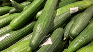 Les surfaces françaises de concombre pour la campagne de 2024 baisseraient de 1 % sur un an. Les surfaces françaises de concombre pour la campagne de 2024 baisseraient de 1 % sur un an.