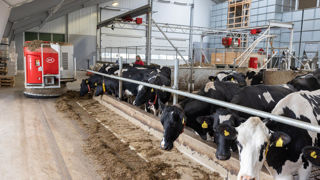 Le Vector de Lely utilise des plaques métalliques fixées sur le sol pour se repérer. Le Vector de Lely utilise des plaques métalliques fixées sur le sol pour se repérer.