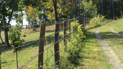 Même si ce n'est pas évident, il faut clôturer au maximum autour du corps de ferme, en laissant le minimum de passages libres d'accès.