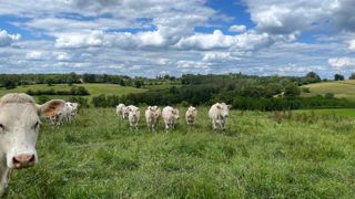 Au 1er juin 2024, la pousse de l'herbe est excédentaire et inédite, selon Agreste. Au 1er juin 2024, la pousse de l'herbe est excédentaire et inédite, selon Agreste.