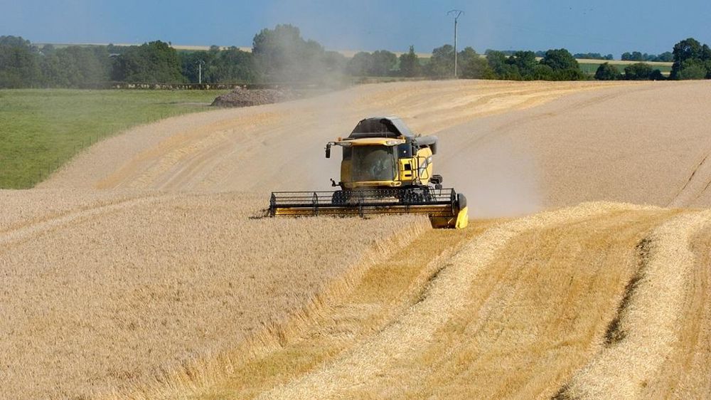 Moisson orge