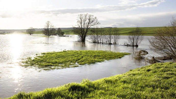 La réforme a eu un effet notable pour les prairies, dont le taux de surfaces assurées est passé de 0,5 à 9 %.