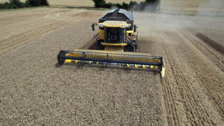 Selon le dernier rapport Céré'obs de FranceAgriMer, les récoltes de blé tendre atteignaient en moyenne 1 % des surfaces au 1er juillet 2024. À comparer aux 8 % à la même date en 2023 et aux 5 % sur la moyenne des cinq dernières années.