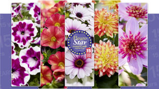 Cinq plantes étaient en compétition pour le concours international FleuroStar 2024. Cinq plantes étaient en compétition pour le concours international FleuroStar 2024.