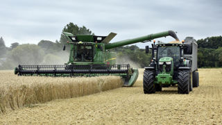 L’Organisation des Nation unies pour l’alimentation et l’agriculture (FAO) estime la récolte mondiale de céréales à 2 854 millions de tonnes pour 2024.