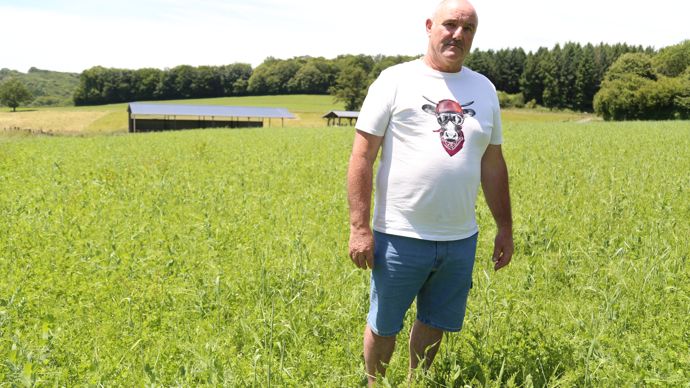Une prairie semée sous couvert d’un méteil de printemps