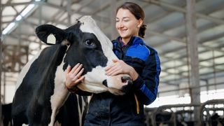 Un métier passion, un investissement sur le long terme. Un métier passion, un investissement sur le long terme.