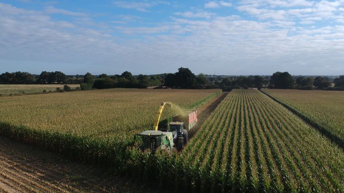 En une ou deux journées, l’éleveur va fixer la qualité de l’ensilage qui lui servira à nourrir son troupeau pendant toute l’année.
