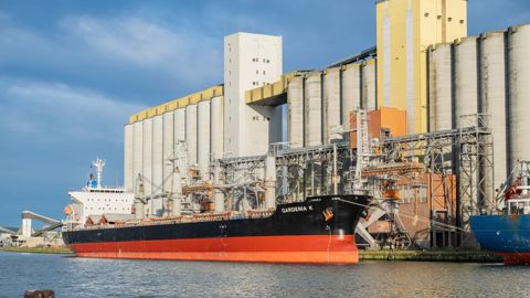D'après les premières estimations publiées par FranceAgriMer, la baisse des exportations françaises de céréales à paille d'une campagne à l'autre atteindrait 3,5 Mt.