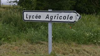 Le nouveau plan de Rachida Dati pour la culture en milieu rural impliquera dix lycées agricoles en France.