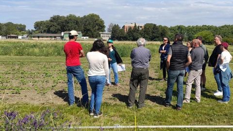 Le cycle de financement de six ans de Dephy Expe vient de s’achever, et Agrosem a sollicité le réseau pour poursuivre son projet pour les six prochaines années. Le cycle de financement de six ans de Dephy Expe vient de s’achever, et Agrosem a sollicité le réseau pour poursuivre son projet pour les six prochaines années.