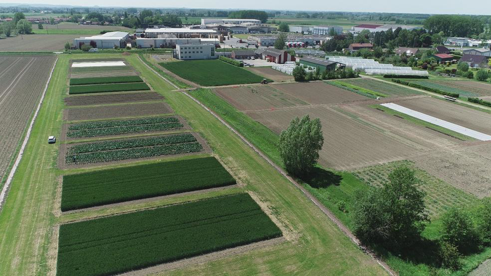 Parcelles d'expérimentation MiniPest