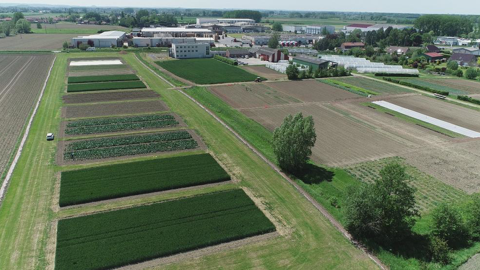 « Il doit y avoir des discussions avec toutes les parties prenantes, sur le partage du risque, en cas de suppression de certains passages de phytos », note Bruno Pottiez de la chambre d'agriculture.