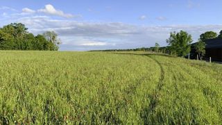 L'évolution du ratio prairies permanentes sur SAU de la région sur 5 ans conditionne le retournement des prairies. L'évolution du ratio prairies permanentes sur SAU de la région sur 5 ans conditionne le retournement des prairies.