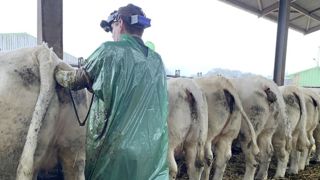 Bien que confidentielle, l'IPE compte de plus en plus d'adeptes.