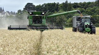 Les incertitudes quant aux rendements des récoltes de 2024 de céréales font pression sur les prix qui baissent cette semaine.