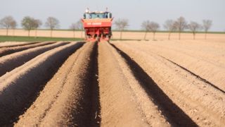 L'UNPT donne ses idées pour sécuriser l'approvisionnement en plants de pomme de terre.
