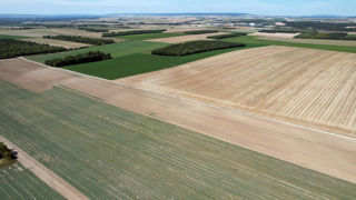 Pour atteindre le niveau supérieur de l'écorégime par la voie des pratiques, l'implantation de jachères et prairies temporaires est privilégié. Pour atteindre le niveau supérieur de l'écorégime par la voie des pratiques, l'implantation de jachères et prairies temporaires est privilégié.