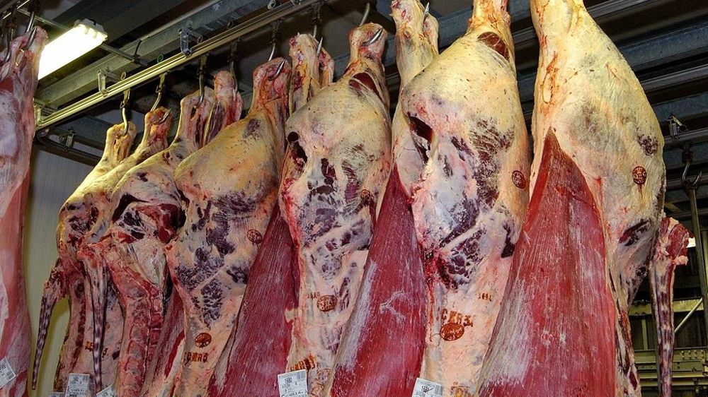 Viande bovine en chambre froide