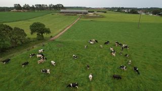 Pour les deux ONG, ClientEarth et BirdLife Europe, la révision a affaibli les exigences environnementales qui encadrent les subventions agricoles. Pour les deux ONG, ClientEarth et BirdLife Europe, la révision a affaibli les exigences environnementales qui encadrent les subventions agricoles.