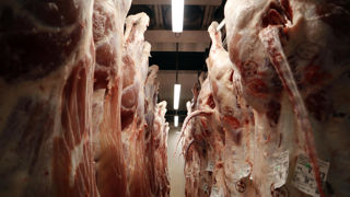 La FRSEA Bretagne demande un soutien politique aux abattoirs pour faire face à la décapitalisation des cheptels et à l'augmentation des charges.