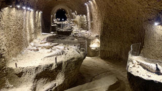 Patrice Legrand, viticulteur dans la Marne, transmet sa passion pour les fossiles en proposant des visites de sa cave aux coquillages. Patrice Legrand, viticulteur dans la Marne, transmet sa passion pour les fossiles en proposant des visites de sa cave aux coquillages.
