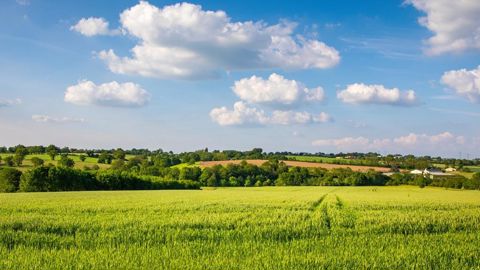 L'agriculture émet 20 % des GES mais stocke aussi du carbone.