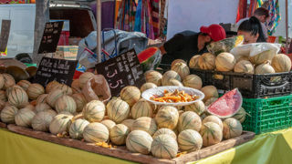 La production française de melons recule de 10 % d'après les estimations d'Agreste au 1er juillet 2024. La production française de melons recule de 10 % d'après les estimations d'Agreste au 1er juillet 2024.