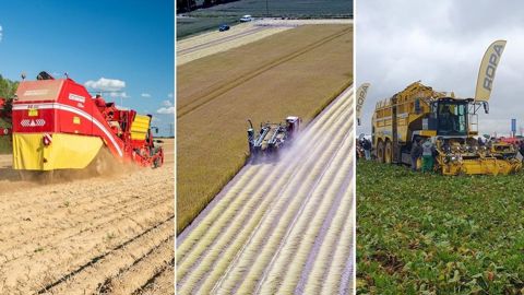 Les immatriculations d'arracheuses de pommes de terre, de lin et de betteraves sont restées dans une bonne dynamique en 2023. Les immatriculations d'arracheuses de pommes de terre, de lin et de betteraves sont restées dans une bonne dynamique en 2023.