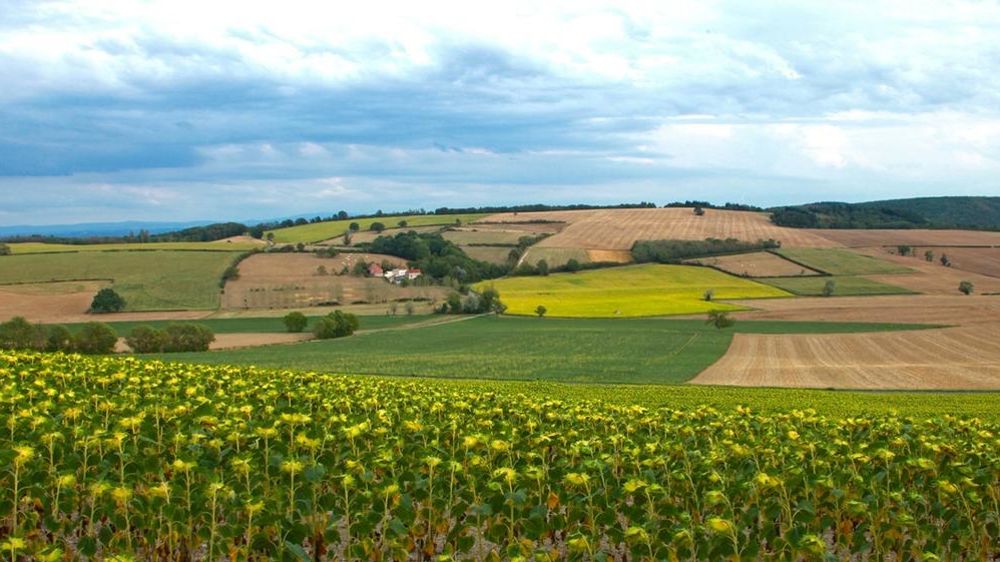 Paysage agricole