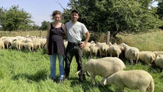 Yoan Thomas et Chloé Béraud apprécient la rusticité de leurs 600 brebis limousines, élevées au pied de la chaîne des Puys. Yoan Thomas et Chloé Béraud apprécient la rusticité de leurs 600 brebis limousines, élevées au pied de la chaîne des Puys.