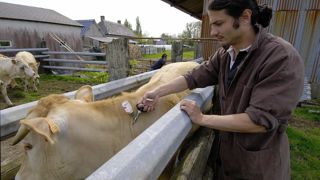 Même si le vaccin n'empêche pas la maladie, il ralentit l'épidémie en limitant la quantité de virus présente dans le sang des animaux. Même si le vaccin n'empêche pas la maladie, il ralentit l'épidémie en limitant la quantité de virus présente dans le sang des animaux.