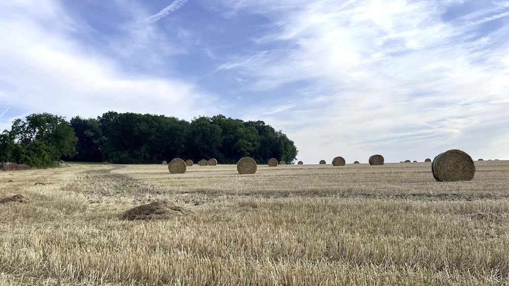 Champs après moisson