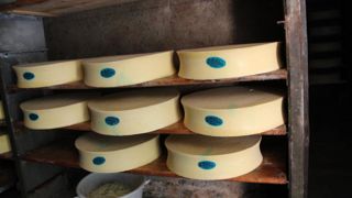 L'étude MetaPDOcheese prouve que l'on ne peut pas fabriquer des fromages AOP français ailleurs que sur leur terroir spécifique.