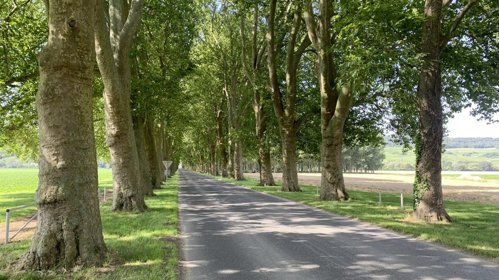 Des pratiques et des retours d’expériences : c’est l’invitation pour le prochain Salon du végétal à Angers du 10 au 12 septembre.
