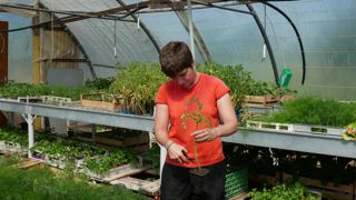 Adeline, 28 ans, est accompagnée depuis un an par les Jardins bleus, une association qui aide à l'insertion de personnes en situation de handicap et d'autres en difficultés personnelles ou professionnelles.