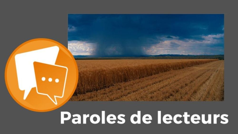 Paroles de lecteurs moisson 2024 et météo catastrophique