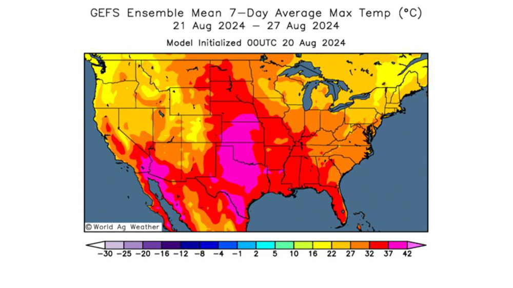 La Corn Belt risque de subir des températures excessives. La Corn Belt risque de subir des températures excessives.