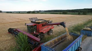 La hausse de l'offre mondiale de céréales et de soja pèse sur les prix.