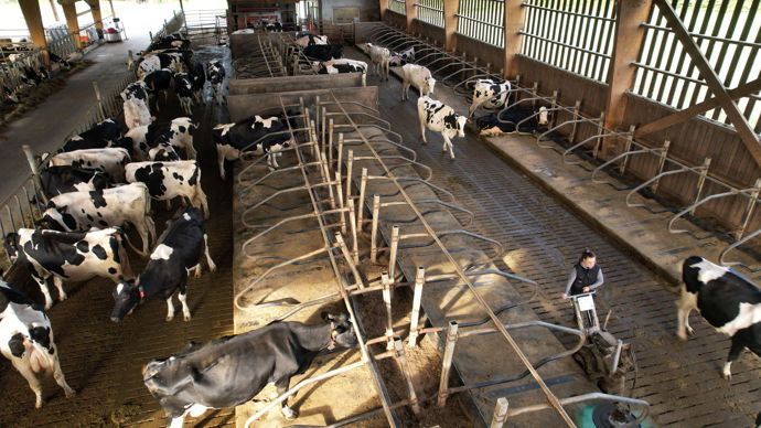 839 éleveurs ont répondu à l'enquête Innoval, 33% ont moins de 40 ans, avec 90 vaches en moyenne. Ils aspirent à réduire leur travail d’astreinte au quotidien.