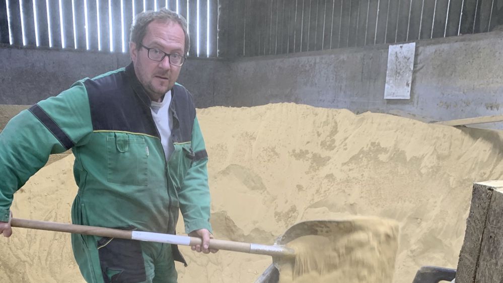 Jérémy Orcil apporte la dolomie dans les logettes de ses vaches laitières à la brouette. Jérémy Orcil apporte la dolomie dans les logettes de ses vaches laitières à la brouette.