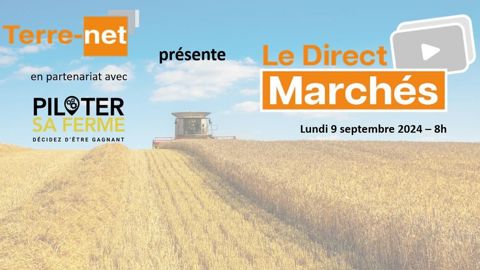 Inscrivez-vous au prochain Direct Marchés, organisé lundi 9 septembre 2024 à 8h. Inscrivez-vous au prochain Direct Marchés, organisé lundi 9 septembre 2024 à 8h.