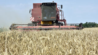 L'AGPB se mobilise pour obtenir des mesures d'urgence et ainsi limiter l'impact de la chute des rendements des céréales à paille en 2024.