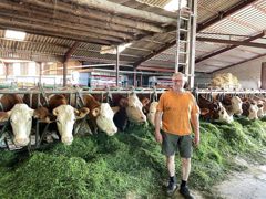Depuis 2021, Philippe Barbier va chercher l'herbe au champ quotidiennement de mars à octobre, pour affourrager en vert ses simmentals. Depuis 2021, Philippe Barbier va chercher l'herbe au champ quotidiennement de mars à octobre, pour affourrager en vert ses simmentals.