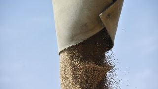 L'outil de l'entreprise Piloter sa Ferme, payant, évalue la probabilité de différents scénarios pour les marchés des céréales et des oléagineux.