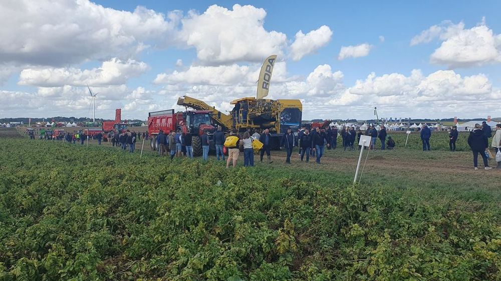 Démonstration d'arrachage à PotatoEurope2024