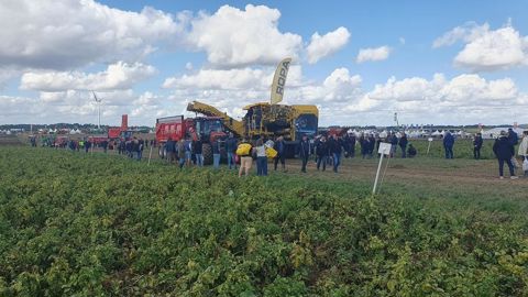 Carton plein pour la première journée du salon européen PotatoEurope. Carton plein pour la première journée du salon européen PotatoEurope.